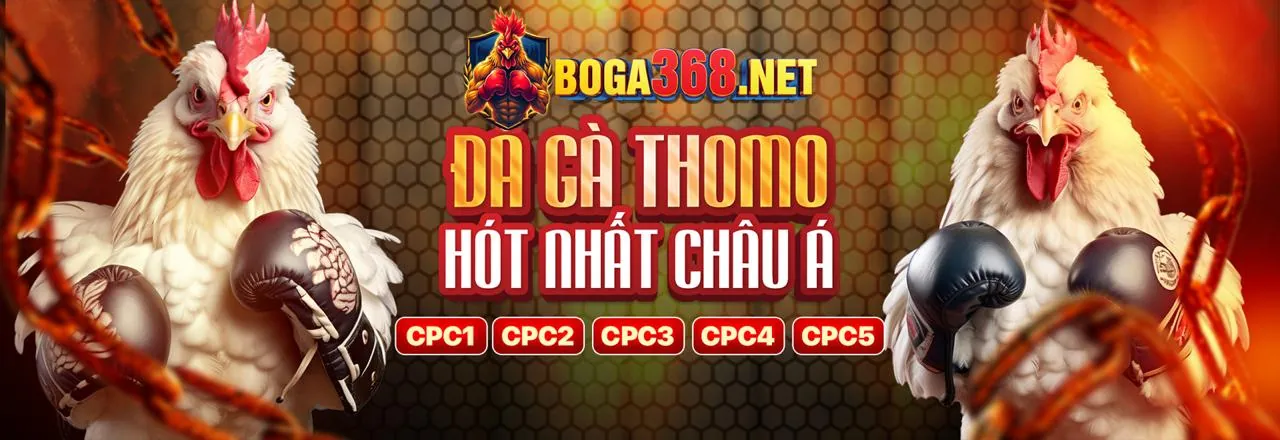 Đội ngũ hỗ trợ đối tác tận tâm của KU BET 11.NET